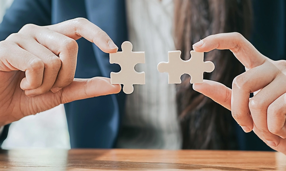 Enterprise-level development and integration support